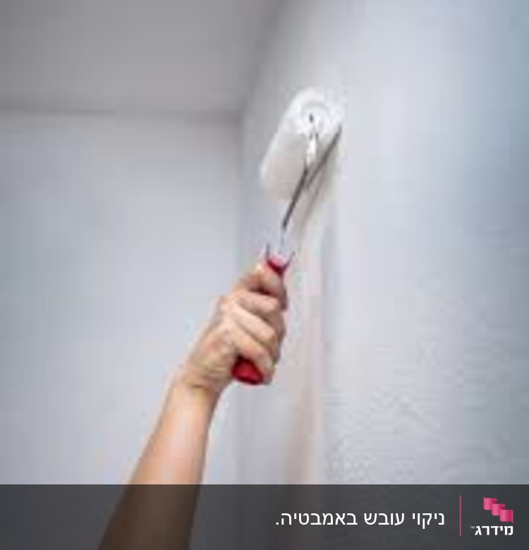 יד צובעת קיר עם רולר צבע לבן